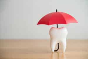 maple grove dental benefits