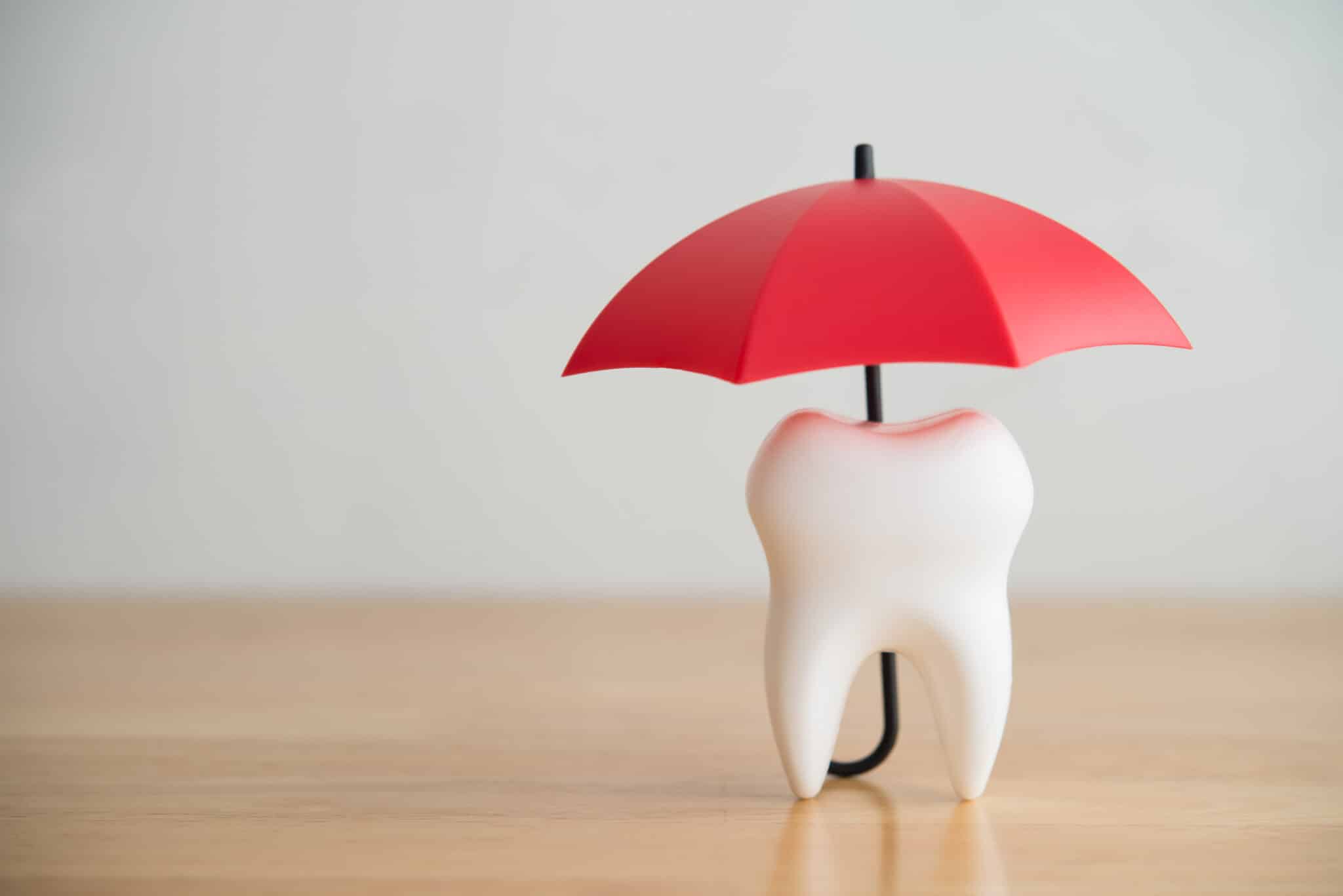 maple grove dental benefits